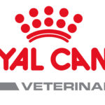 Sache e lata Royal canin veterinary